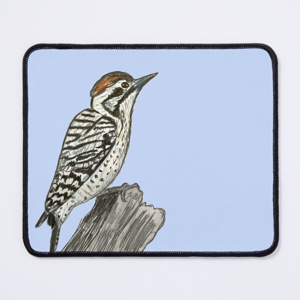 Item preview, Ladder-backed Woodpecker - simple blue background designed and sold by woodland-towers.