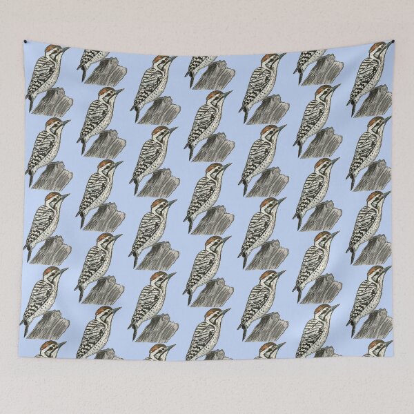 Item preview, Ladder-backed Woodpecker - simple blue background designed and sold by woodland-towers.