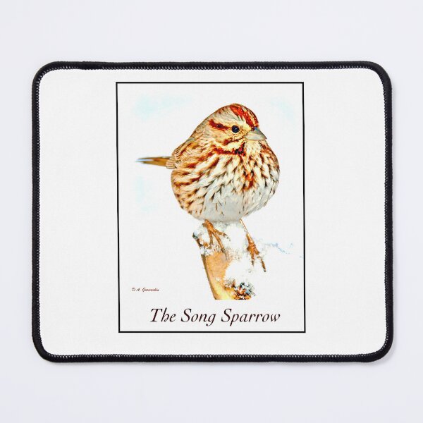 Item preview, Song Sparrow on Tree Stump in Winter designed and sold by AMacGPhilly.