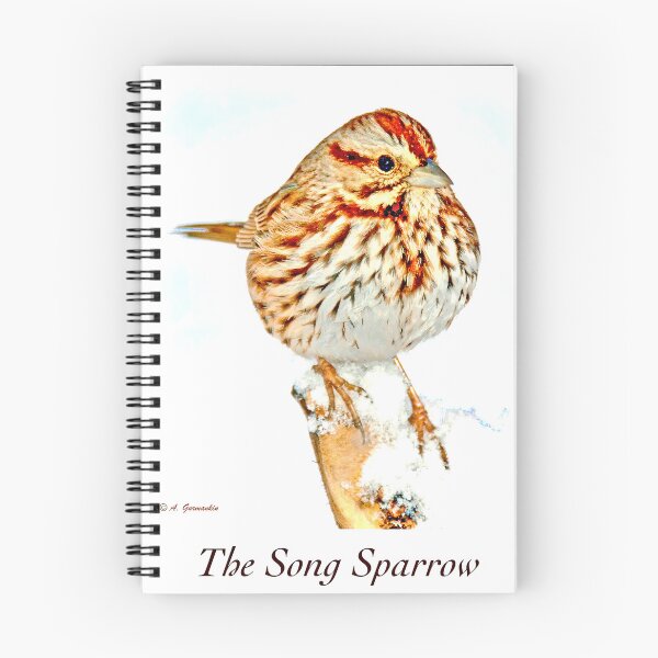 Item preview, Song Sparrow on Tree Stump in Winter designed and sold by AMacGPhilly.