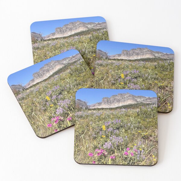 Item preview, Glacier National Park wildflowers  designed and sold by Teacher With a Camera .