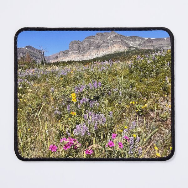 Item preview, Glacier National Park wildflowers  designed and sold by Teacher With a Camera .