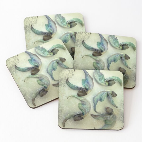 Item preview, Jade vine seeds collection designed and sold by Illuminations of Nature.