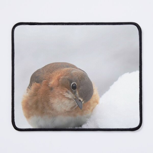 Item preview, bluebird in the snow designed and sold by Illuminations of Nature.