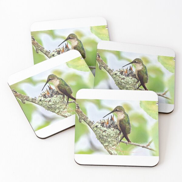 Item preview, Feed me Hummingbird nest designed and sold by Illuminations of Nature.