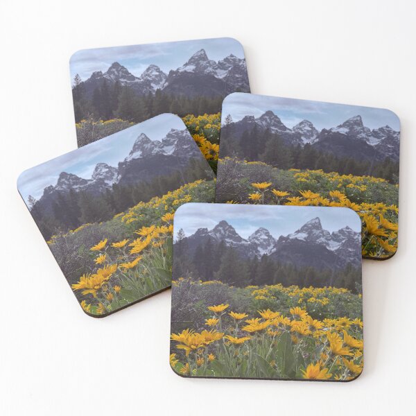 Item preview, Grand Teton wildflowers  designed and sold by Teacher With a Camera .