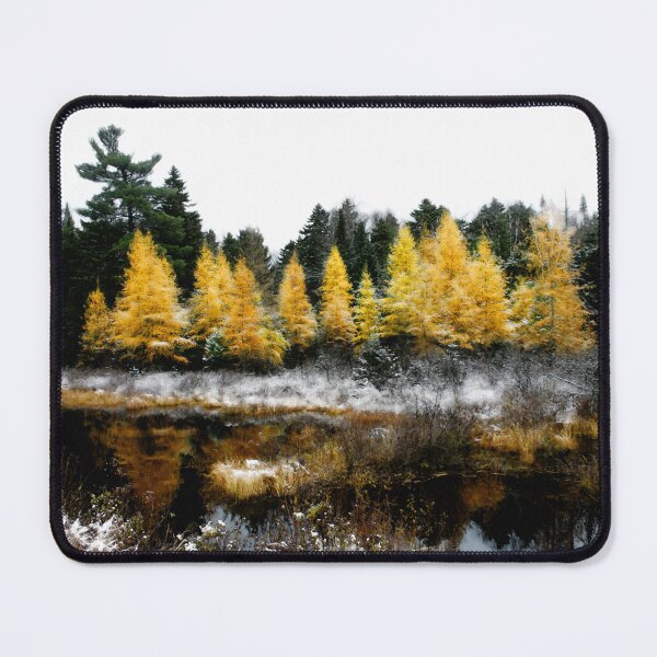 Item preview, Snow Paints Larch Grove  designed and sold by Wayne King.