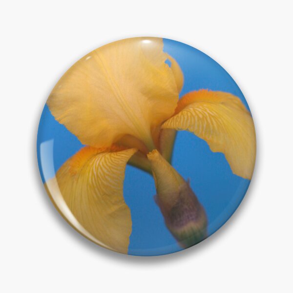 Item preview, Yellow iris on blue background designed and sold by olena2552.