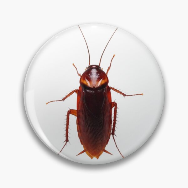 Item preview, Cockroach designed and sold by KLASSY-KYRA.