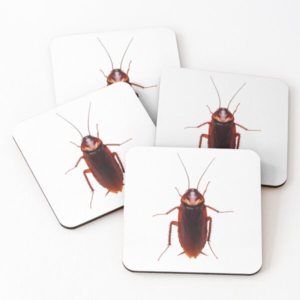 Item preview, Cockroach designed and sold by KLASSY-KYRA.