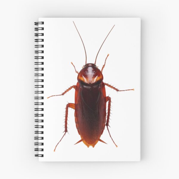 Item preview, Cockroach designed and sold by KLASSY-KYRA.
