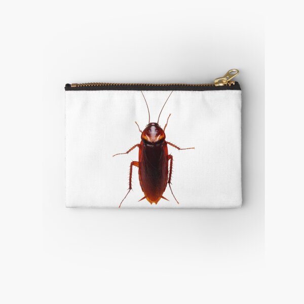 Item preview, Cockroach designed and sold by KLASSY-KYRA.