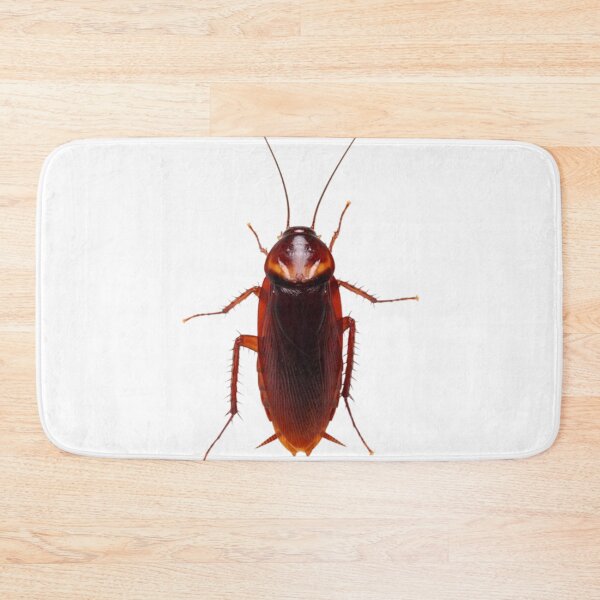 Item preview, Cockroach designed and sold by KLASSY-KYRA.