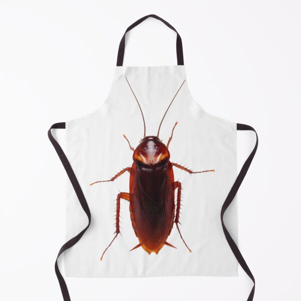 Item preview, Cockroach designed and sold by KLASSY-KYRA.