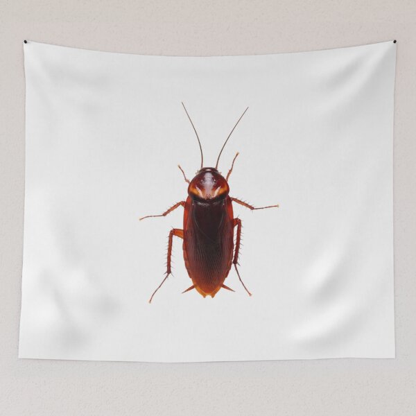 Item preview, Cockroach designed and sold by KLASSY-KYRA.