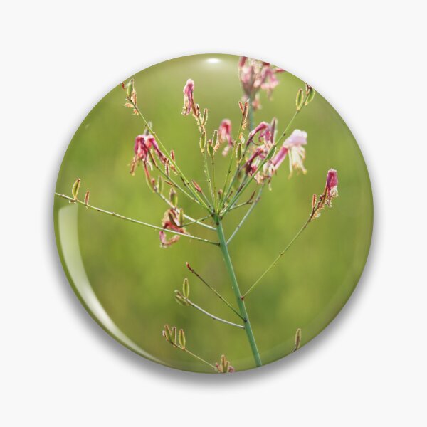 Item preview, A Lonely Impulse of Delight designed and sold by Olivia Plasencia.
