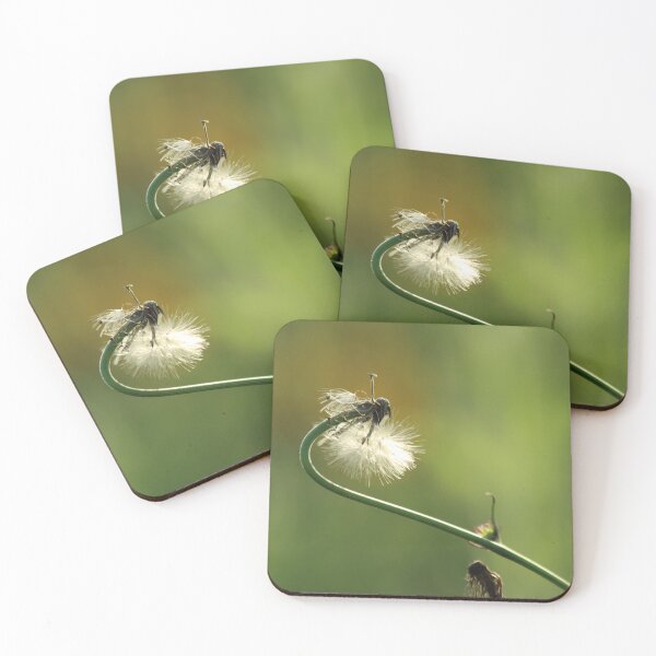 Item preview, Stretch designed and sold by Olivia Plasencia.