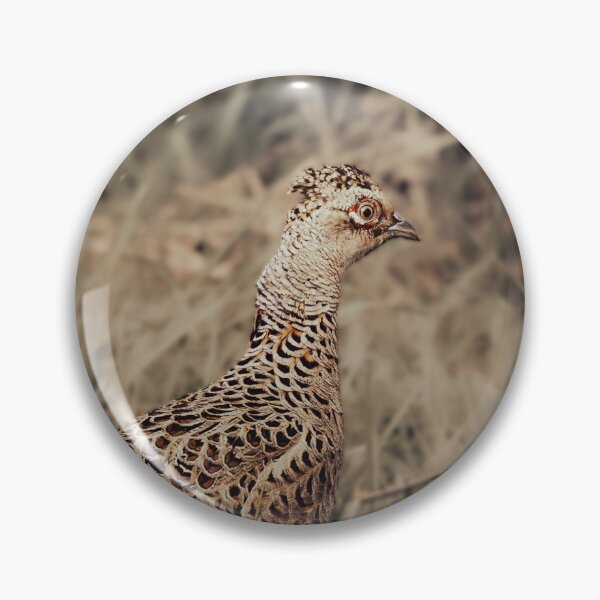 Item preview, Moody Pheasant Wildlife Photography designed and sold by Mutezone.