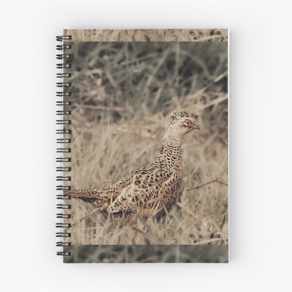 Item preview, Moody Pheasant Wildlife Photography designed and sold by Mutezone.