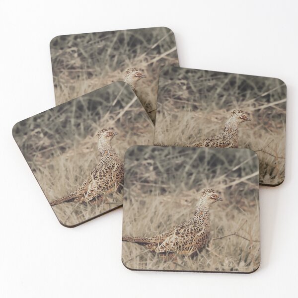 Item preview, Moody Pheasant Wildlife Photography designed and sold by Mutezone.