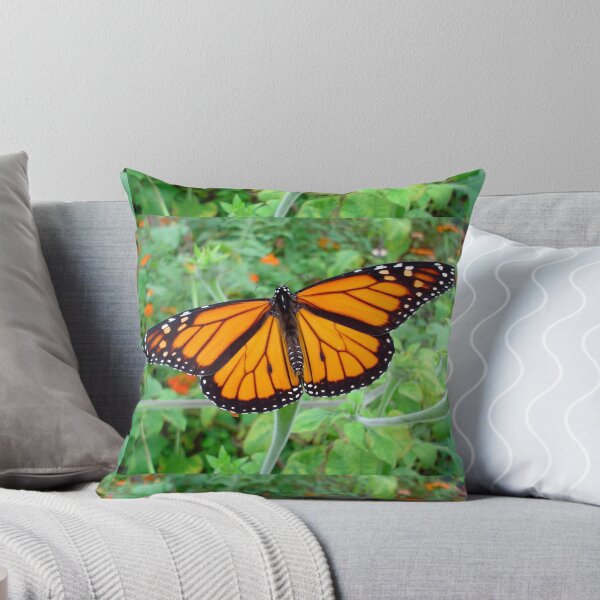 Item preview, Monarch Moment - original photograph by mjh, c. 2007 designed and sold by eustacia42.