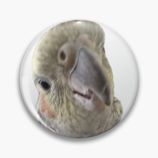 Item preview, Gussy.5 designed and sold by Mysterious Goose .
