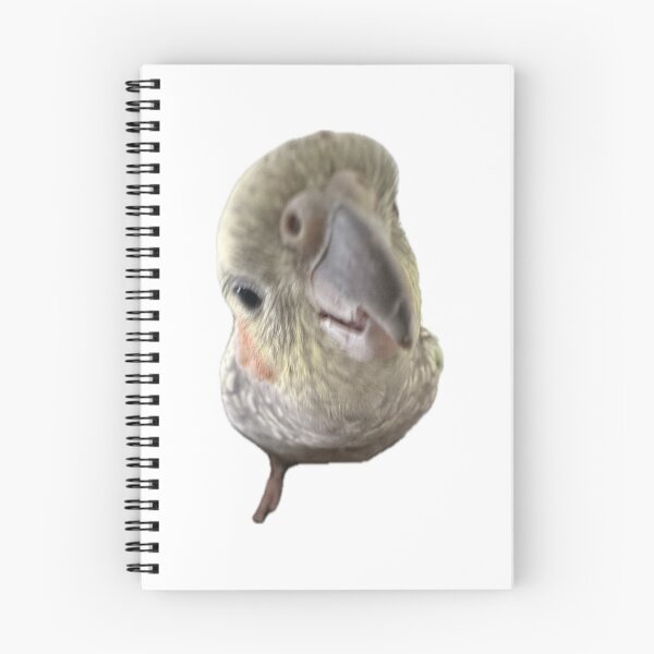 Item preview, Gussy.5 designed and sold by Mysterious Goose .