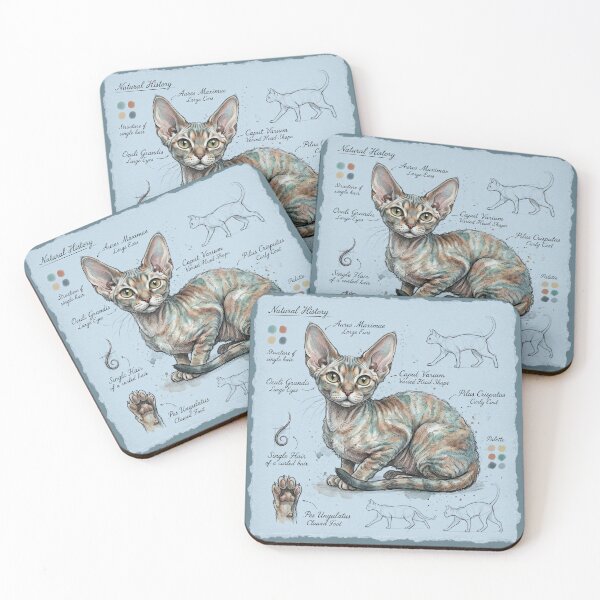 Item preview, Devon Rex Cat Anatomical Sketch Print designed and sold by Paolo-Bandal.