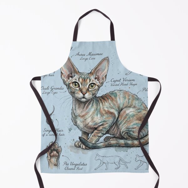 Item preview, Devon Rex Cat Anatomical Sketch Print designed and sold by Paolo-Bandal.