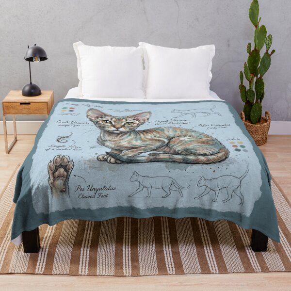 Item preview, Devon Rex Cat Anatomical Sketch Print designed and sold by Paolo-Bandal.