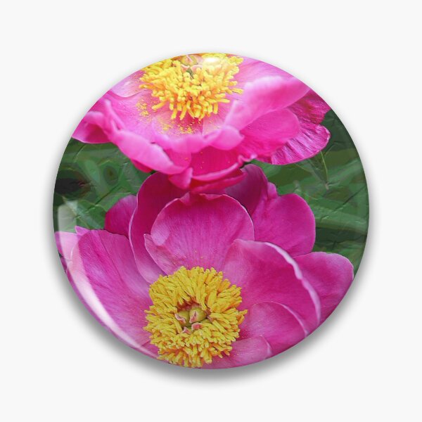 Item preview, Chinese Peony Duo designed and sold by BostonArcImage.