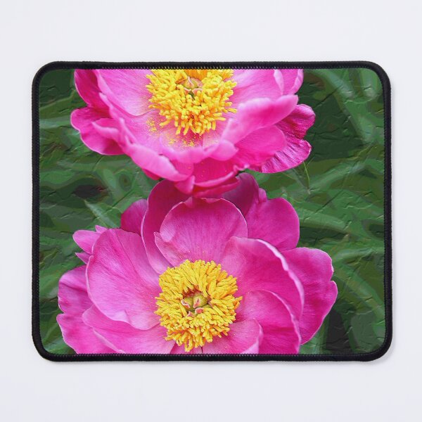 Item preview, Chinese Peony Duo designed and sold by BostonArcImage.