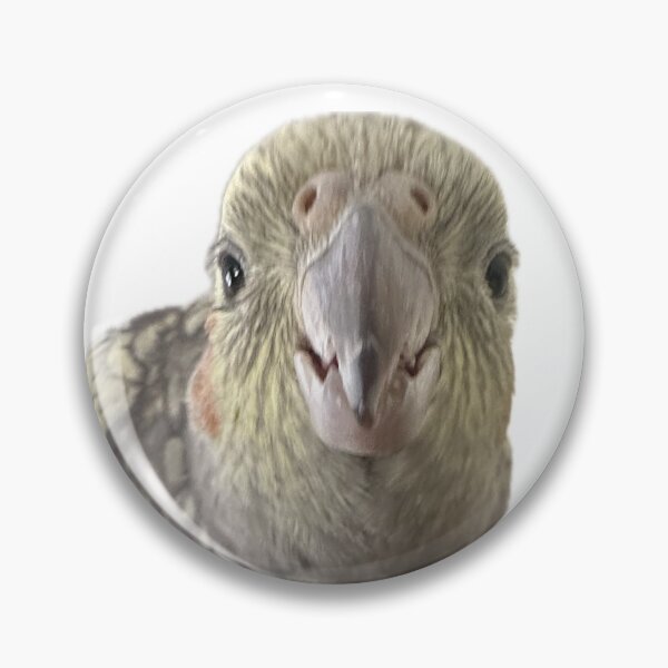 Item preview, gussssyyydabirb .5 designed and sold by Mysterious Goose .