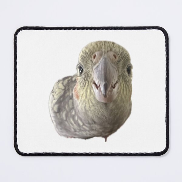 Item preview, gussssyyydabirb .5 designed and sold by Mysterious Goose .