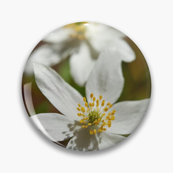 Item preview, Bright whites. Wood anemone designed and sold by Jouko Lehto Photography.