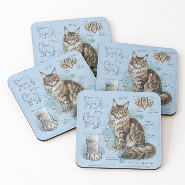 Item preview, Scientific Illustration of a Maine Coon Cat designed and sold by Paolo-Bandal.