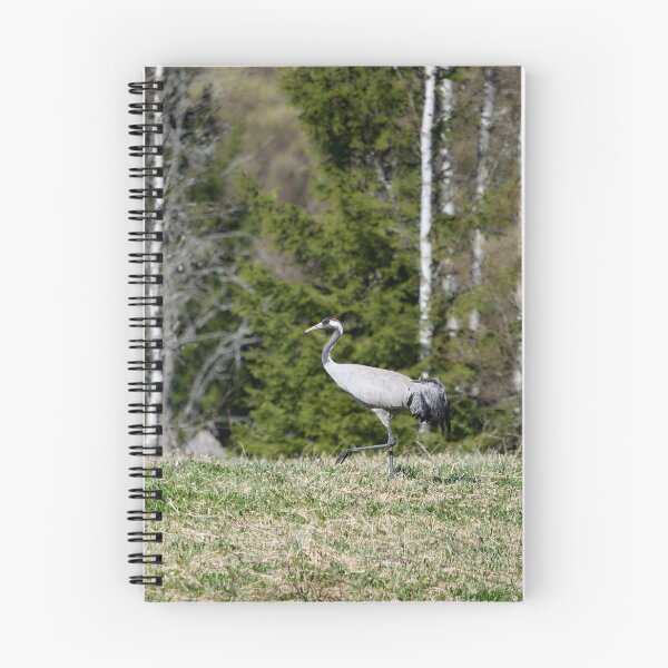 Item preview, Stepping on the field. Eurasian crane designed and sold by Jouko Lehto Photography.