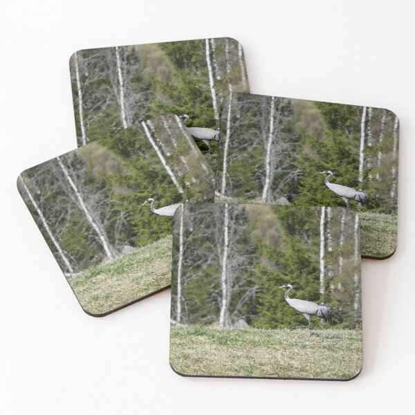 Item preview, Stepping on the field. Eurasian crane designed and sold by Jouko Lehto Photography.