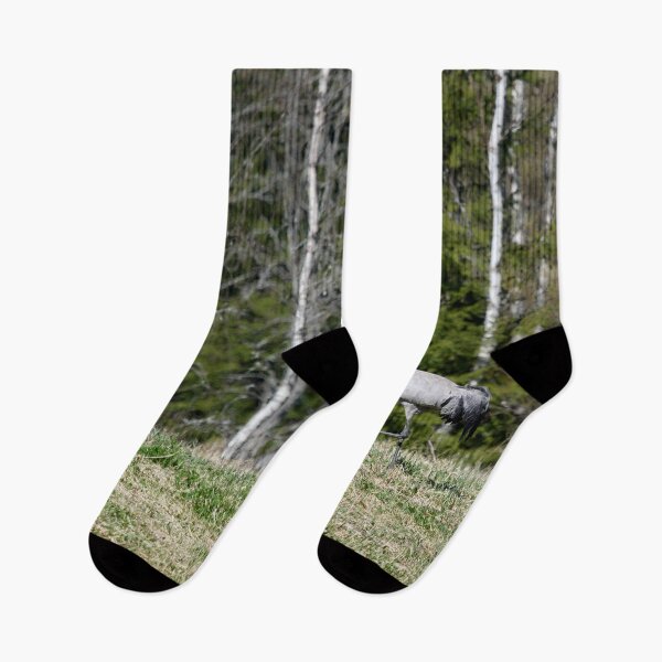 Item preview, Stepping on the field. Eurasian crane designed and sold by Jouko Lehto Photography.
