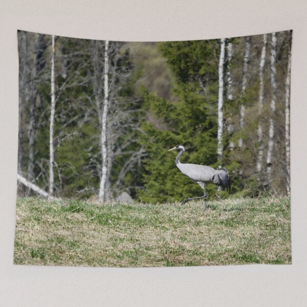 Item preview, Stepping on the field. Eurasian crane designed and sold by Jouko Lehto Photography.