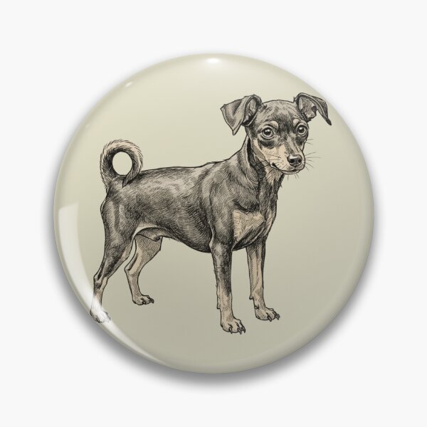 Item preview, Miniature pinscher drawing designed and sold by T's&such.