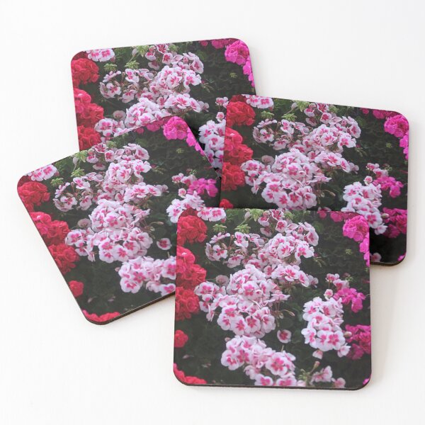 Item preview, Vibrant Pink and White Geranium Blooms designed and sold by WeatherShot.