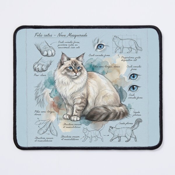 Item preview, Neva Masquerade Cat Anatomical Art Print designed and sold by Paolo-Bandal.
