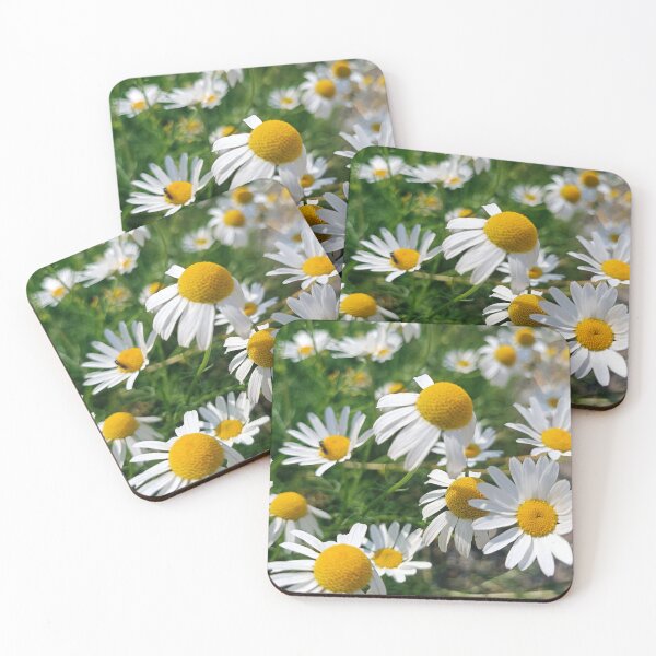 Item preview, Chamomiles designed and sold by Lightcollection.