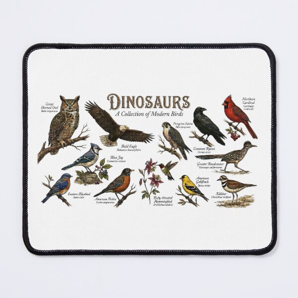 Item preview, Dinosaurs: A Collection of Modern Birds - Vintage Field Guide designed and sold by orioleoutdoor.