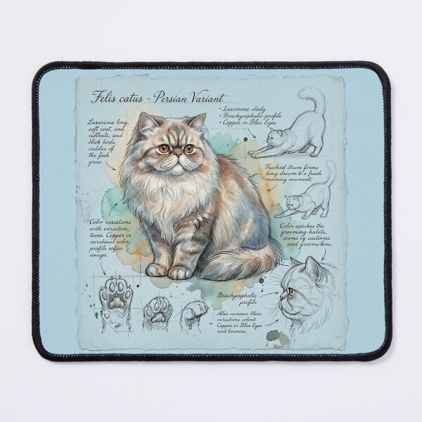 Item preview, Persian Cat Anatomical Scientific Sketch Illustration designed and sold by Paolo-Bandal.