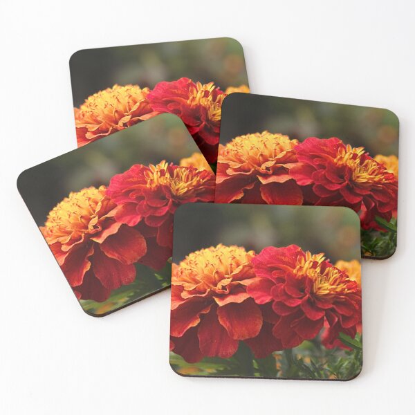 Item preview, Golden and Crimson Marigolds. designed and sold by WeatherShot.