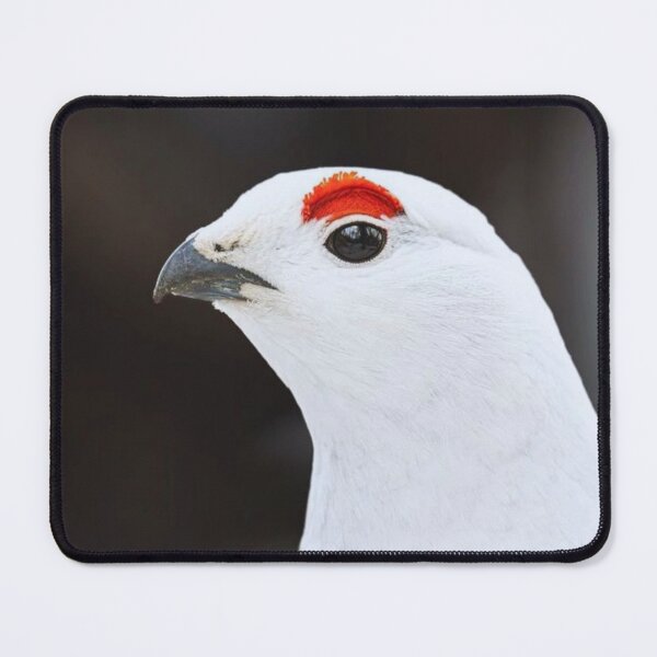 Item preview, Ptarmigan bird designed and sold by di-Vera-Rosati.