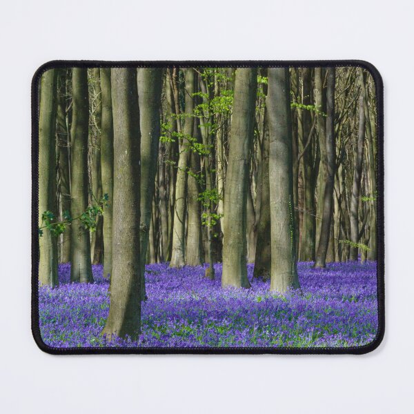 Item preview, bluebell wood designed and sold by Karen O'Reilly.