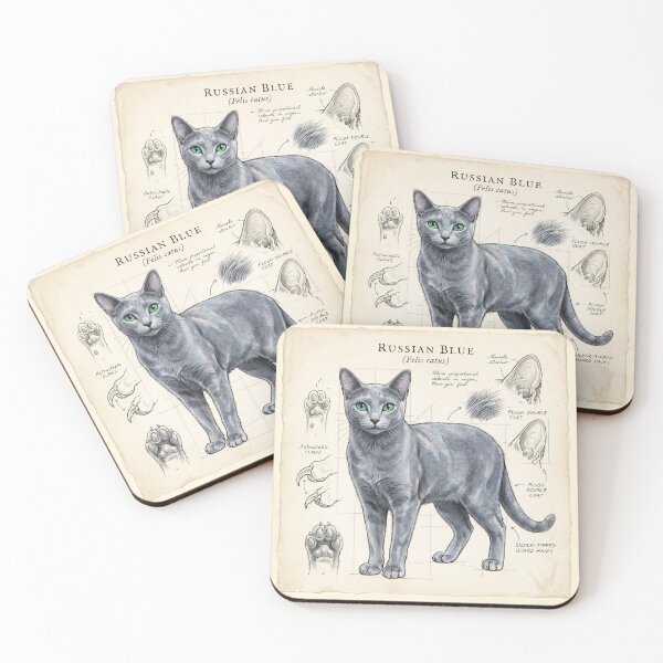Item preview, Russian Blue Cat Anatomical Study Print designed and sold by Paolo-Bandal.